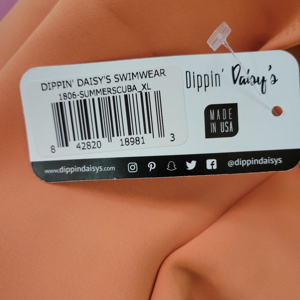 Dippin Daisies Seamed Classic Low Back Cheeky One-Piece